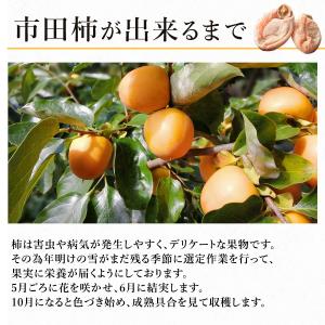 市田柿 化粧箱 500g×2箱 干し柿 ギフト...の詳細画像5
