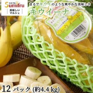 キウイーナ 12パック スミフル開発品種 フィリピン産 キウイのような爽やかな美味しさ 高級 最高級 バナナ｜sumifru