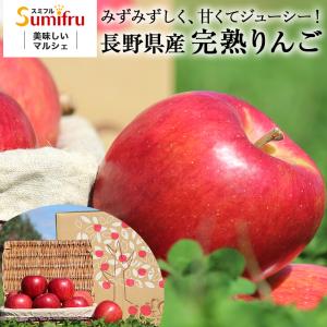 長野県産 完熟 リンゴ 3kg 送料無料 林檎 りんご 蜜入り シナノスイート サンふじ プレゼント 果物 フルーツ 長野県 人気 売れ筋 【11月20日より順次発送】