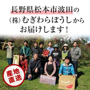 長野県産 完熟 リンゴ 5kg 送料無料 林檎...の詳細画像1