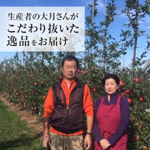 長野県産 完熟 リンゴ 5kg 送料無料 林檎...の詳細画像2