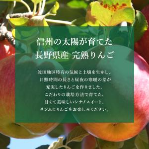 長野県産 完熟 リンゴ 5kg 送料無料 林檎...の詳細画像3