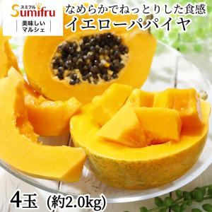 厳選 パパイヤ 4玉 フィリピン産 約2kg｜sumifru