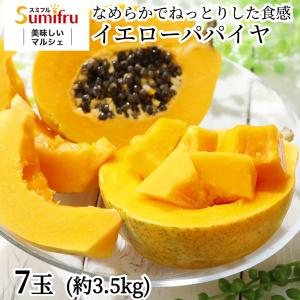 厳選 パパイヤ 7玉 フィリピン産 約3.5kg｜バナナのスミフルYahoo!店