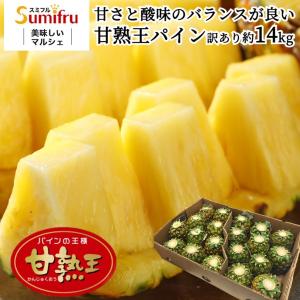 訳ありパイナップル 小玉 20玉(約14キロ) 送料無料 糖...