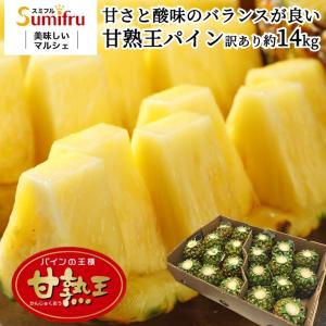 パイナップル 業務用 訳あり 小玉 20玉 約14kg パイン｜sumifru