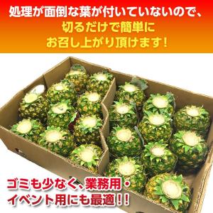 パイナップル 業務用 小玉 7玉 約5kg 甘...の詳細画像3