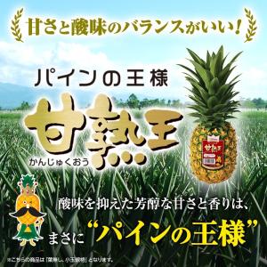 パイナップル 業務用 小玉 7玉 約5kg 甘...の詳細画像5