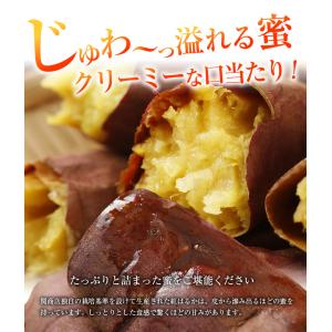 冷凍焼き芋 干し芋 食べ比べセット 各2袋 ギ...の詳細画像2