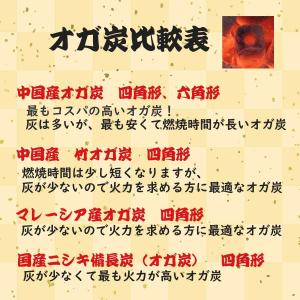 オガ炭 30kg 中国産おが炭 四角形 10k...の詳細画像3