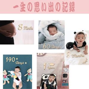 月齢フォト 木製 レターバナー 31枚 ベビー...の詳細画像5