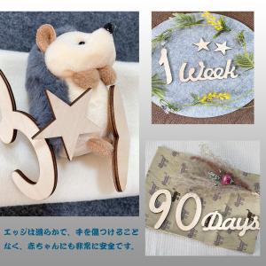 「新発売」月齢フォト 木製 レターバナー 59...の詳細画像5