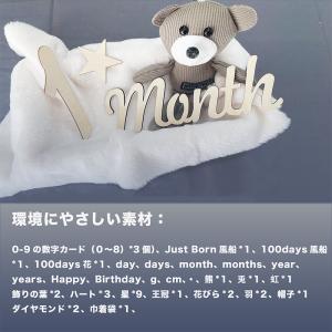 「9月から新発売」月齢フォト 木製 レターバナ...の詳細画像2