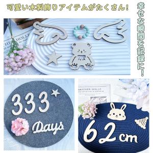 「9月から新発売」月齢フォト 木製 レターバナ...の詳細画像4