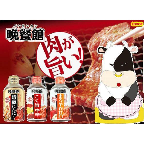 バーベキュー 網焼きに。日本食研  追跡可能メール便