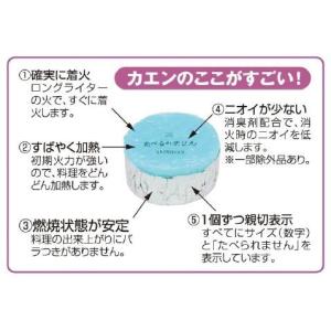 送料無料 固形燃料 カエン ニューエースE30...の詳細画像2