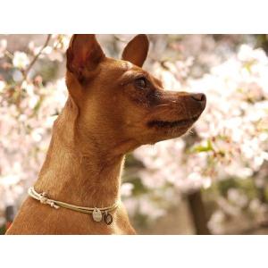 すっきりプライス HAPPY チョーカー │犬グッズ