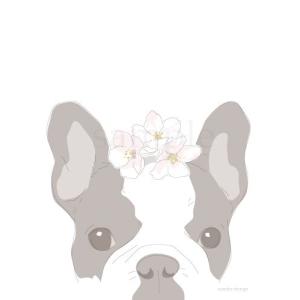 お花がいっぱい ポストカード 桜とフレンチブルドッグ（パイド）│犬グッズ│オーナーグッズ│