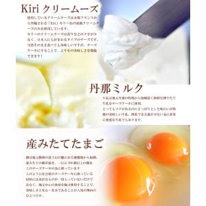 【送料無料】誕生日 プレゼント とろける チー...の詳細画像5
