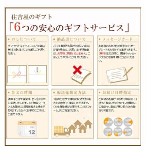 チーズケーキ ギフト スイーツ プレゼント 食...の詳細画像4