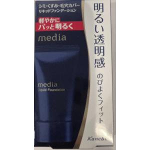 花蜜精みつばちハニー美容ゲル100g 洗顔後はこれ1つでシンプル