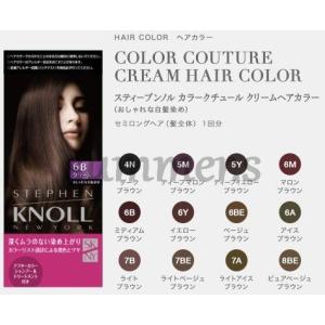 コーセー スティーブンノル カラークチュール クリームヘアカラー 限定モデル アイスブラウン 6a