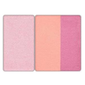 カネボウ　リサージ　スキンフィットチーク　レフィル　RS1　エレガントローズ