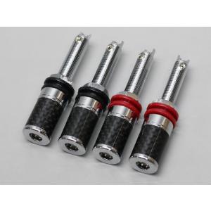 スピーカーターミナル ロジウムメッキ仕様