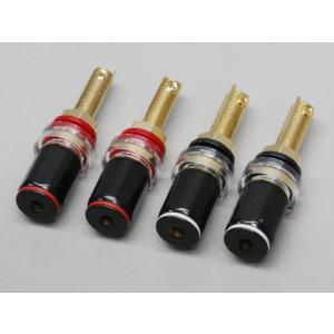 スピーカーターミナル