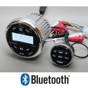 マリンオーディオ マリンデッキ Bluetoothアンプ 水上バイク ジェット
