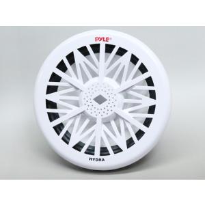 500W 10インチ 25cm マリンサブウーハー