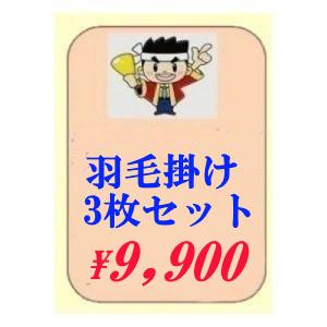 布団クリーニング 羽毛掛け3枚セットふとん丸洗い