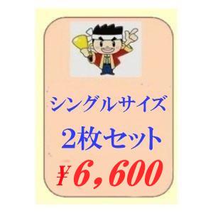 布団クリーニング 2枚セット 掛け 敷き 布団 シングルサイズ