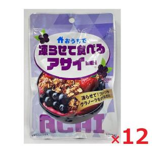 アサイー 冷凍ピューレ 100g×4パック×15袋 無糖 フルッタフルッタ