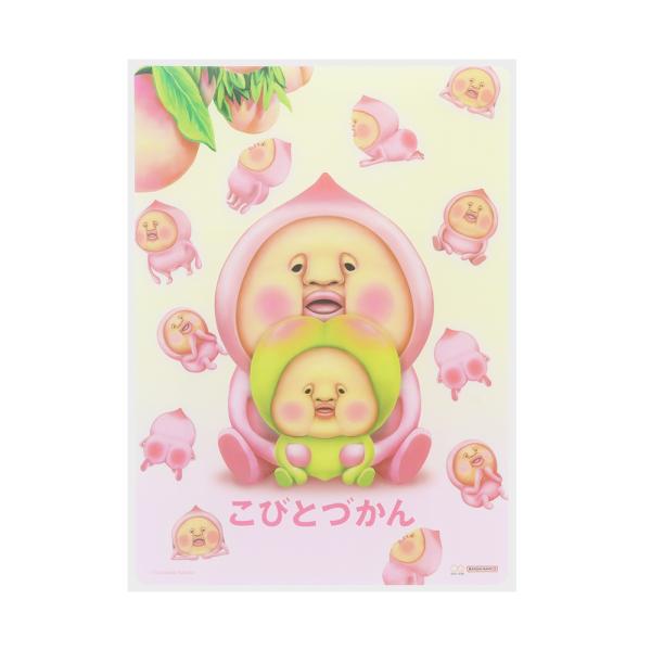 下敷　こびとづかん　Ａ　　　　　　　　　　　　　　　　　　　　　　　　