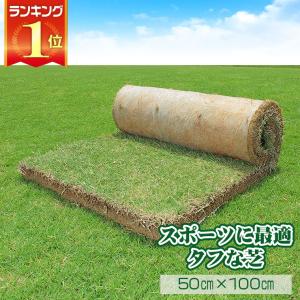 芝生 ティフトン芝 ロール巻芝 (芝 通販)...