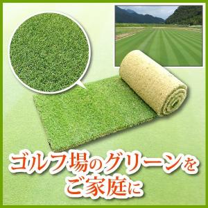 芝生 天然芝 ベント芝 ロール巻芝 (芝生 通販)の詳細画像1