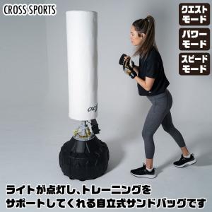 CROSS SPORTS 光る! ファイティングバッグPRO サンドバッグ ジム トレーニング 格闘技 ボクシング エクササイズ フィットネス TAN-5005+TAN-5005B 3334231005471｜sun-wa