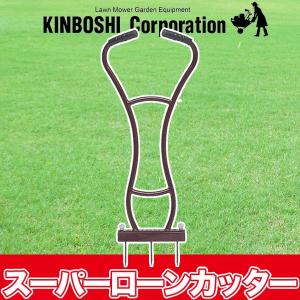 芝生 根止め サンカ 芝の根止めトール (土のストッパー) 20枚入