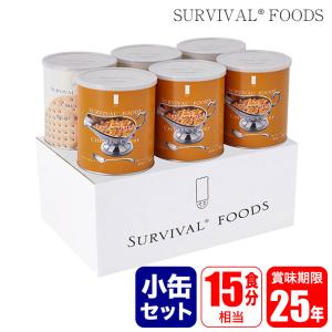 サバイバルフーズ 25年保存食 チキンシチュー 大缶 ファミリーセット 6