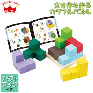 エドインター ジェニ 知の贈り物シリーズ 賢人パズル 4941746802595 知育玩具