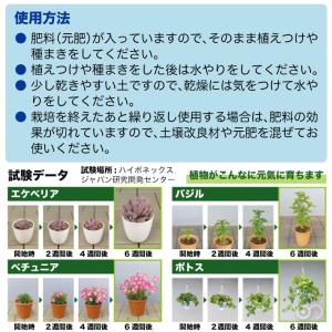 捨てられる土 木から生まれた土 1.5L ハイ...の詳細画像3