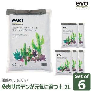 evo多肉サボテンが元気に育つ土2Lx6 54000