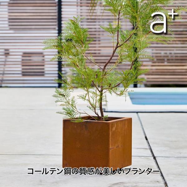 エープラスデザイン コールテン鋼 パティナシリーズ スクエアプランター W300 AHL-CP030...