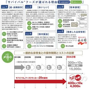サバイバルフーズ 25年保存食 洋風雑炊詰め合...の詳細画像2