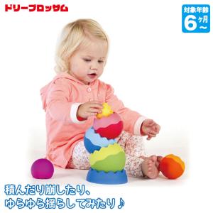ハバ（HABA） WEHRFRITZ ベルフリッツ 保育積木・Gセット WF025220