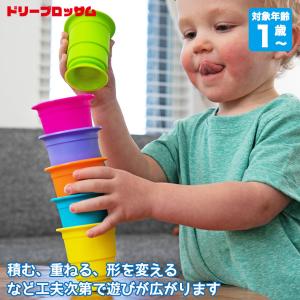 TAG ボールトラッカー 知育玩具 知育おもちゃ スロープトイ 楽天市場】【先着フラッシュクーポン対象店】ラッピング可 注意力と