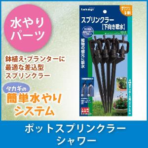 タカギ（takagi） 水やりスターターキットタイマー付 (家庭菜園用