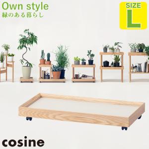 cosine（コサイン） (プレゼント付) プラントラック S GP-04CT 旭川