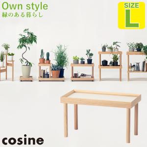 (プレゼント付) コサイン cosine プラントラック L GP-05CT 旭川家具 観葉植物 棚｜sun-wa